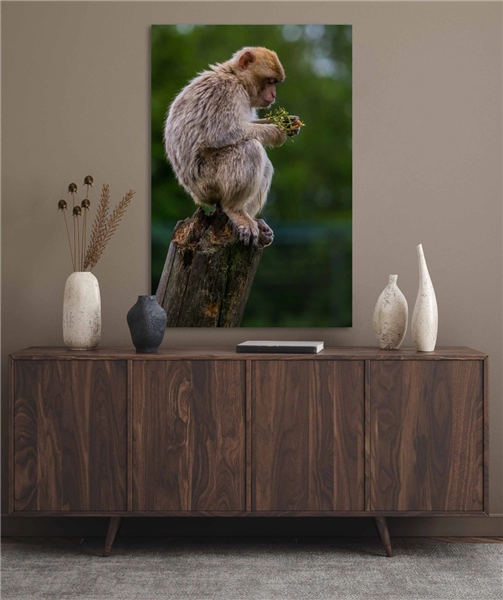 Een Wanddecoratie Wildlife 018 98x148cm Dibond wit koop je bij Meubels and More