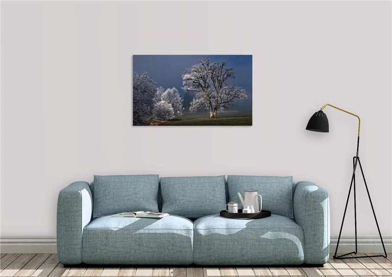 Een Wanddecoratie Winter Wonders 007 118x70cm Dibond wit koop je bij Meubels and More