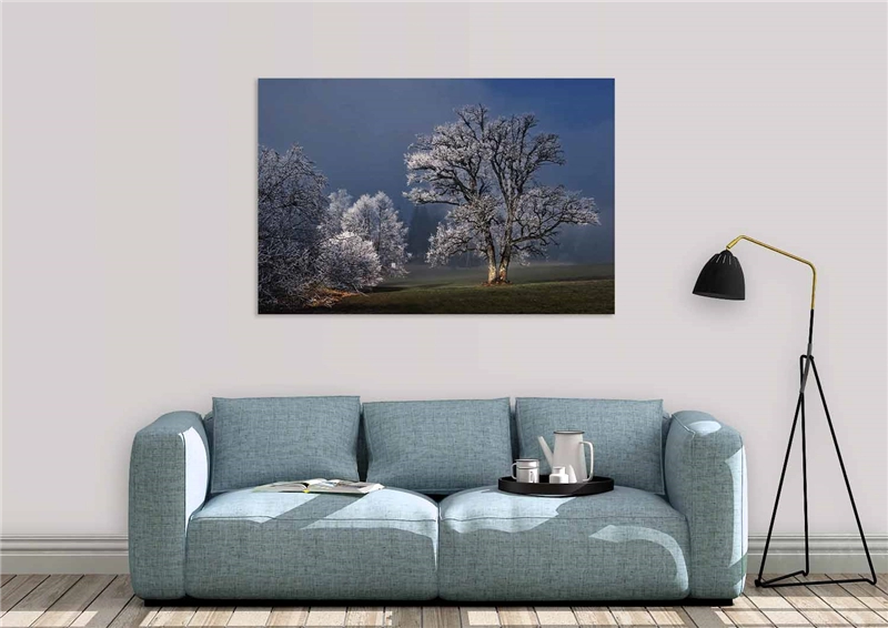 Een Wanddecoratie Winter Wonders 007 148x98cm Dibond wit koop je bij Meubels and More