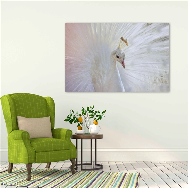 Een Wanddecoratie Bright Wings 031 148x98cm Dibond wit koop je bij Meubels and More