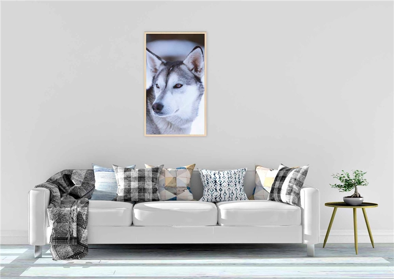 Een Wanddecoratie European Wildlife 012 70x118cm Forex met blanke lijst koop je bij Meubels and More