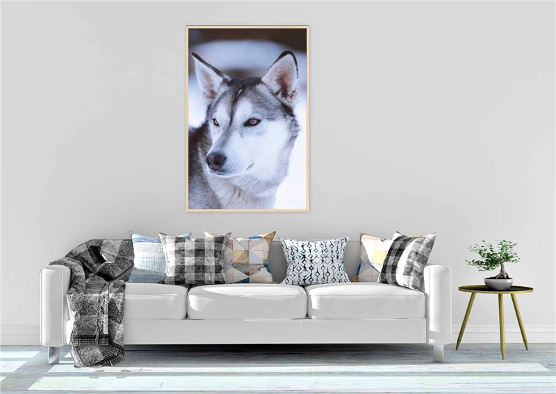 Een Wanddecoratie European Wildlife 012 98x148cm Forex met blanke lijst koop je bij Meubels and More