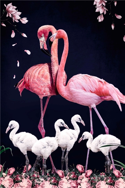 Een Wanddecoratie The Flamingo Family 98x148cm Dibond wit koop je bij Meubels and More