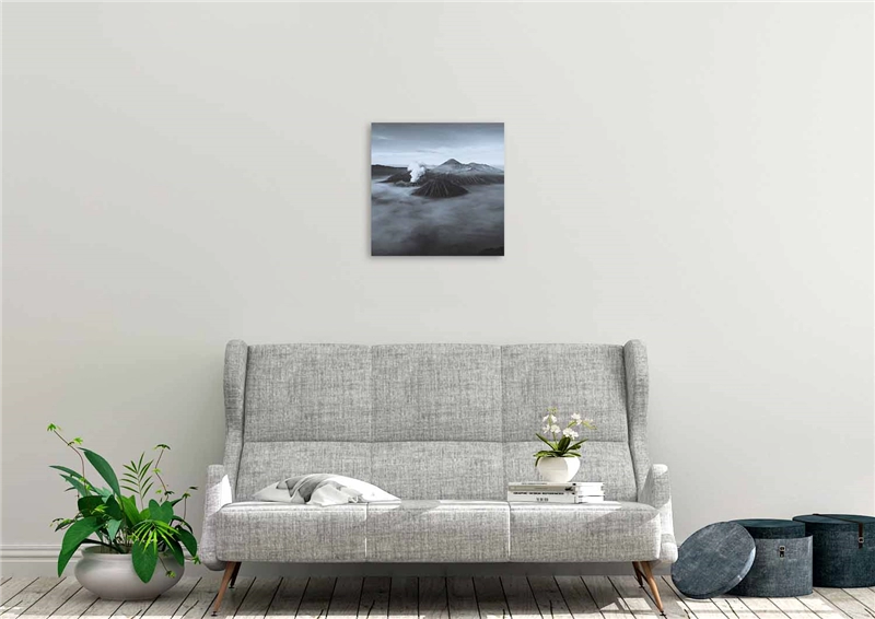 Een Wanddecoratie Art of Nature 015 74x74cm Dibond wit koop je bij Meubels and More