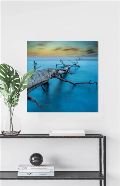 Een Wanddecoratie Art of Nature 041 74x74cm Dibond wit koop je bij Meubels and More