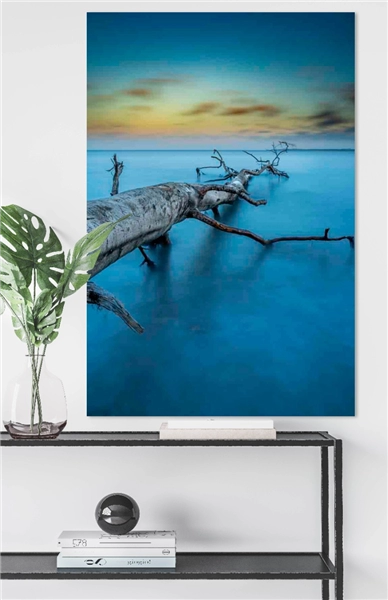 Een Wanddecoratie Art of Nature 041 98x148cm Dibond wit koop je bij Meubels and More