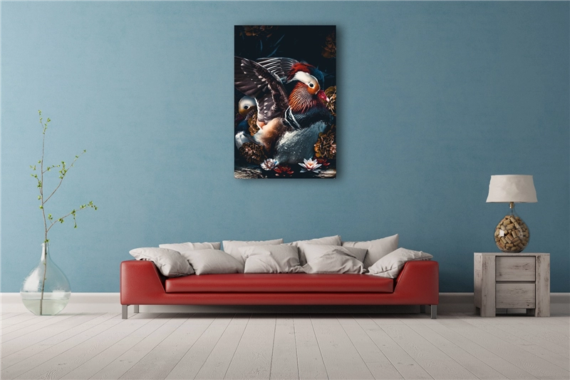 Een Wanddecoratie The Mandarin Ducks 98x148cm Dibond wit koop je bij Meubels and More