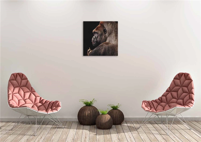 Een Wanddecoratie Wildlife 002 74x74cm Dibond wit koop je bij Meubels and More