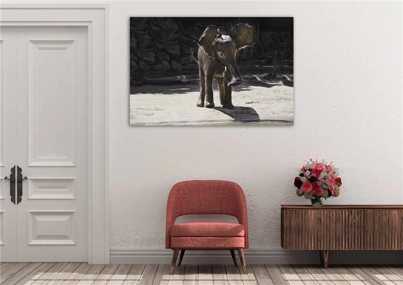 Een Wanddecoratie Wildlife 005 148x98cm Dibond wit koop je bij Meubels and More